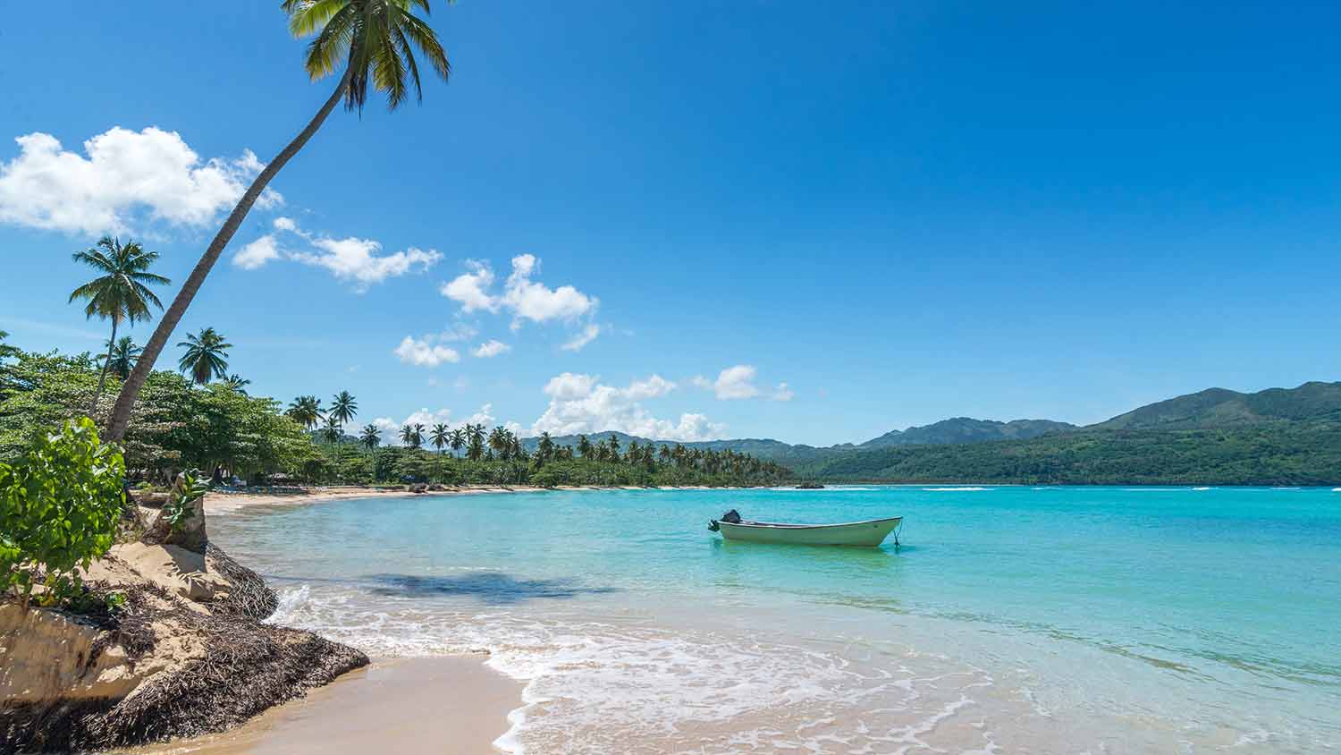 Want to Work from Anywhere? 35 Digital Nomad Friendly Companies