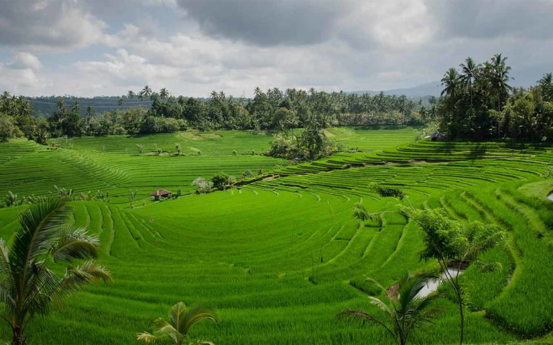 Our Bali Workation: Is Bali Good for Digital Nomads?