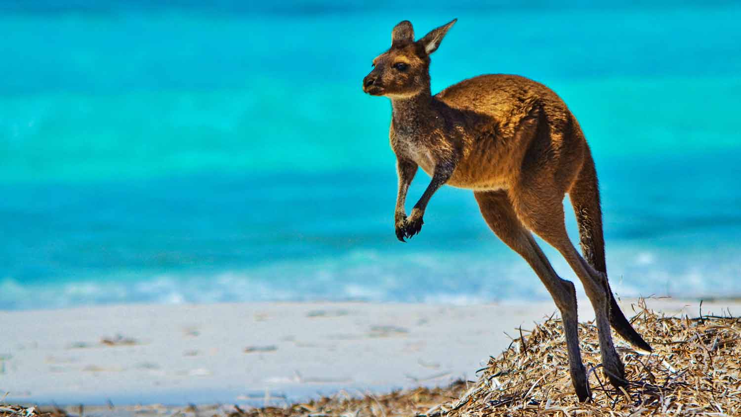 10 years of living abroad How moving to Australia changed my life